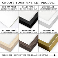 a selection of different types of canvass
